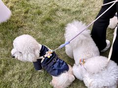 -上海神旺大酒店