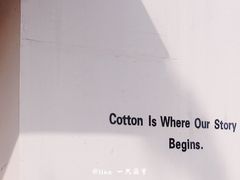 -COTTON CAFE(德信·中外公寓店)