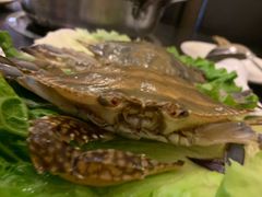 -吉友粥底火锅(方斜路店)