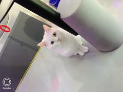 -极木²邸 人与宠物·互动社区