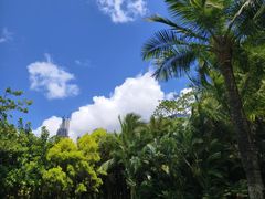 -深圳湾公园(南山区)