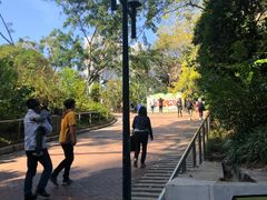 -九龙公园