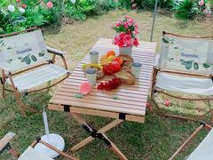 -光明小镇欢乐田园