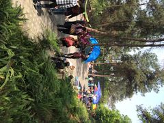 iphone_upload_pic-铁山坪森林公园