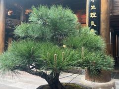 -广富林宰相府酒店·水云间