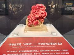 -湖南省地质博物馆