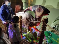 -恐龙探索乐园(磁器口店)