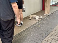 -章云板鸭(总店)