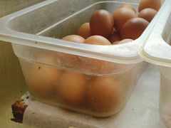 鸡蛋-皆道拌麻辣烫·麻辣拌