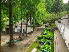 -四明山国家森林公园