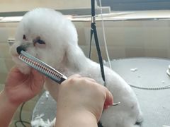 -宠颐生宠物医院·骨外科·犬猫全科诊疗中心(池州店)