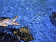 -欢乐海岸海洋奇梦馆