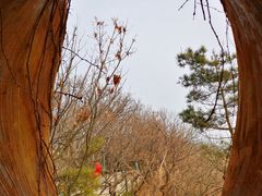 -燕窝岭