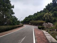 -火炉山森林公园