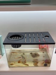 -Dr·Jane皮肤管理中心