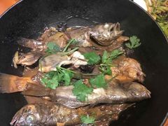 -苏大嘴海鲜牧场(奥林匹克店)