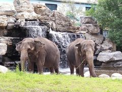 -北京野生动物园