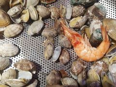 -船梆煮•蒸汽海鲜·炉火烤肉(五四广场店)