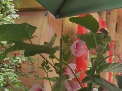 -田园印象·成都土菜院子(华阳店)