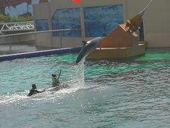 -秦皇岛乐岛海洋王国