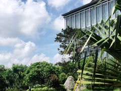-南宁荔园维景国际酒店·荔园中餐厅