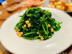 小老窖嫩豆苗-阿里家·新疆烤肉酒場 by MIG