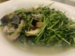 -权记避风塘(鸿记店)