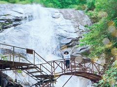 -青峰峡国家森林公园