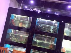 -全乐鱼馆·淳牌有机鱼直营店