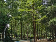 -苏州河梦清园环保主题公园