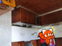 -金山农民画村-枫泾波兰倒置屋