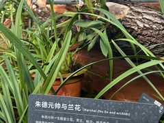 -国家植物园南园