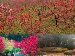 -桃花涧
