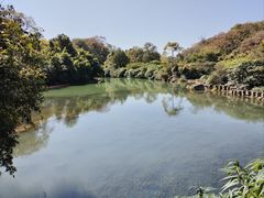 -花溪公园