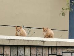 -北京天湖会议中心