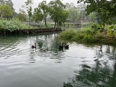 -武汉动物园
