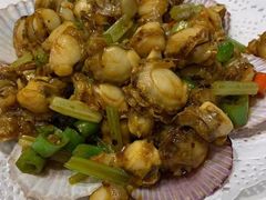 辣炒小扇贝-双井轩(双井店)