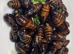 炸蛹-陈家小院(阜昌路店)