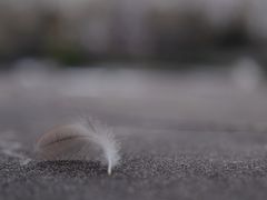 -钓鱼台国宾馆