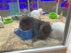-大润发(南湖店)
