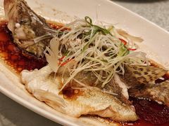 -外高桥喜来登酒店采悦轩