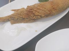 -老牌坊鲁菜名店(聊城美食岛店)