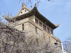 -武汉大学-樱园