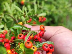 -昆明市金殿名胜区