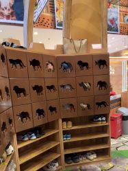 -卡通尼·Safari非洲探索乐园·生日会(金桥国际商业广场店)