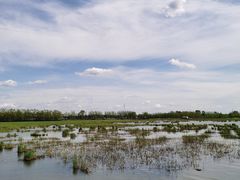 -白渔泡湿地公园