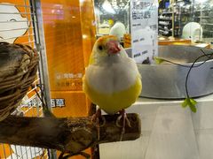 -仲盛世界商城