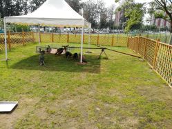 -萌宠亲子动物乐园(槐房万达店)