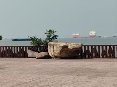 -上海滨江森林公园