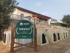 -君乐宝优致牧场
